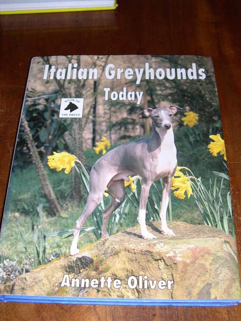 Rare Italian Greyhound Dog Book By Annette Oliver 1st 1993 In Dust Wrapper